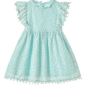 Niyage Toddler Girls Elegant Lace Pom Pom Flutter Sleeve Party Princess Dress -6